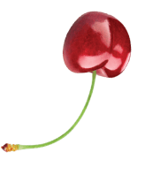 fruit