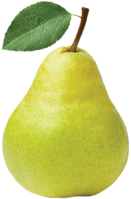 fruit