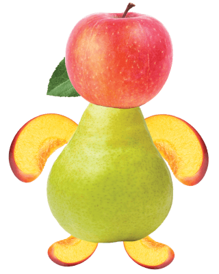 fruit