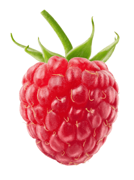 fruit