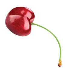 fruit