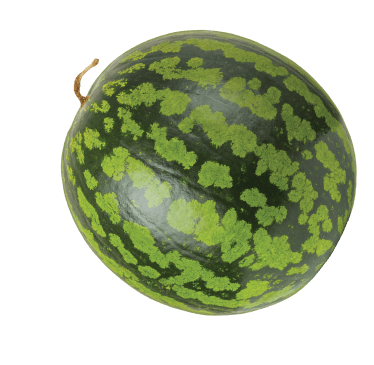 fruit