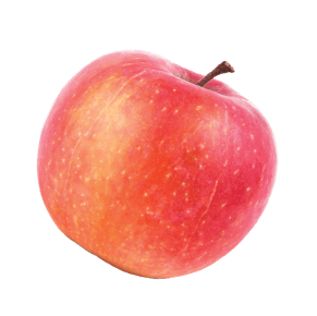 fruit