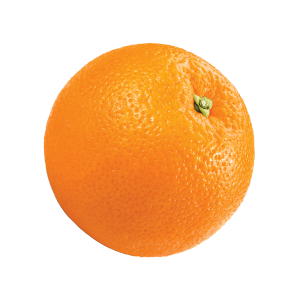 fruit