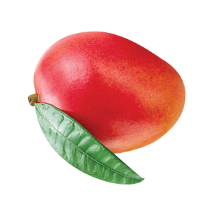 fruit