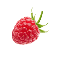 fruit